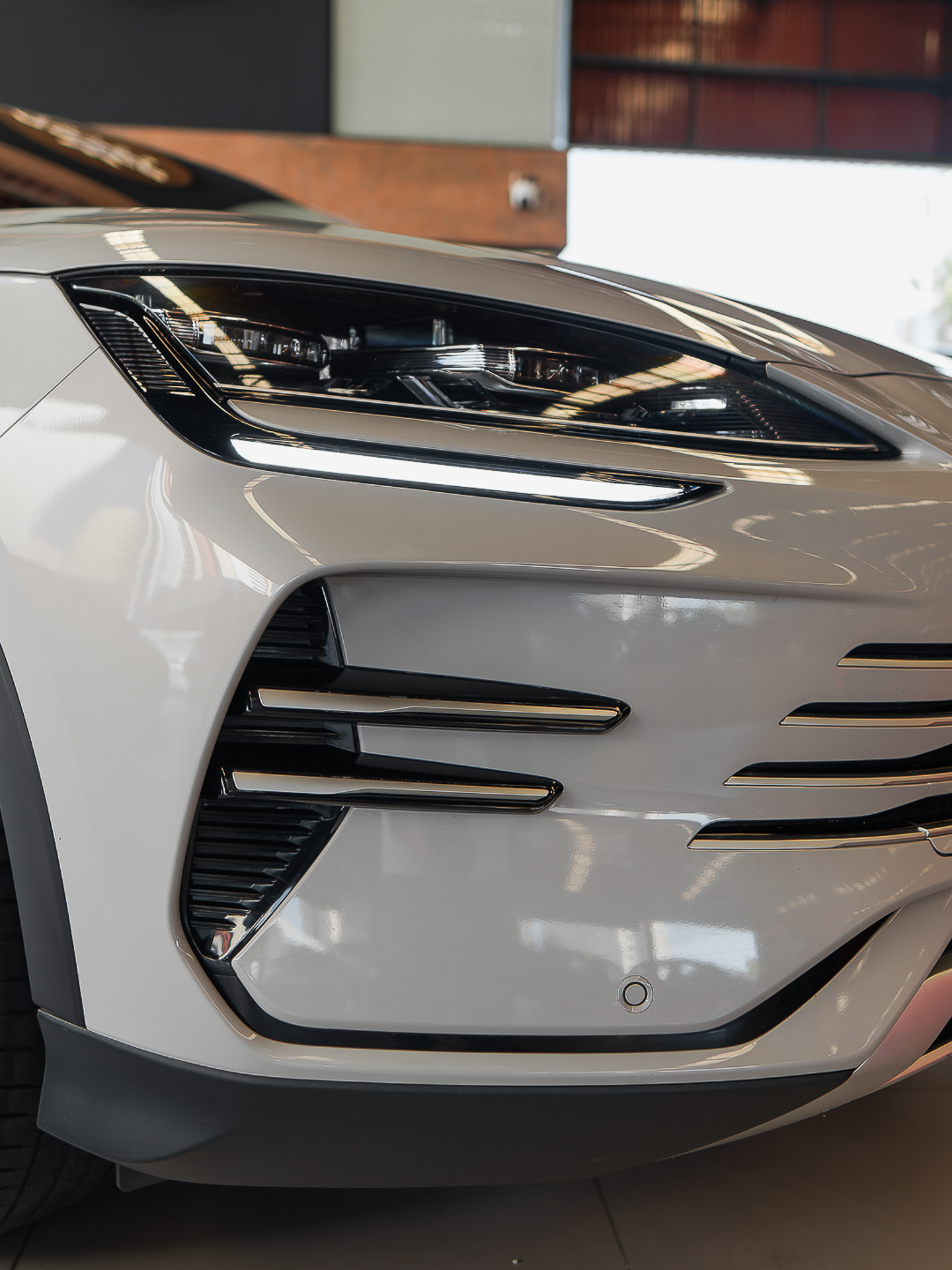 BYD SONG PLUS PREMIUM — foto 9